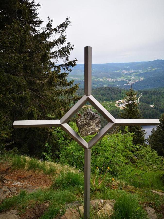 Idyllisch Gelegene Ferienwohnung Im Herzen Des Bayerischen Waldes Zachenberg المظهر الخارجي الصورة